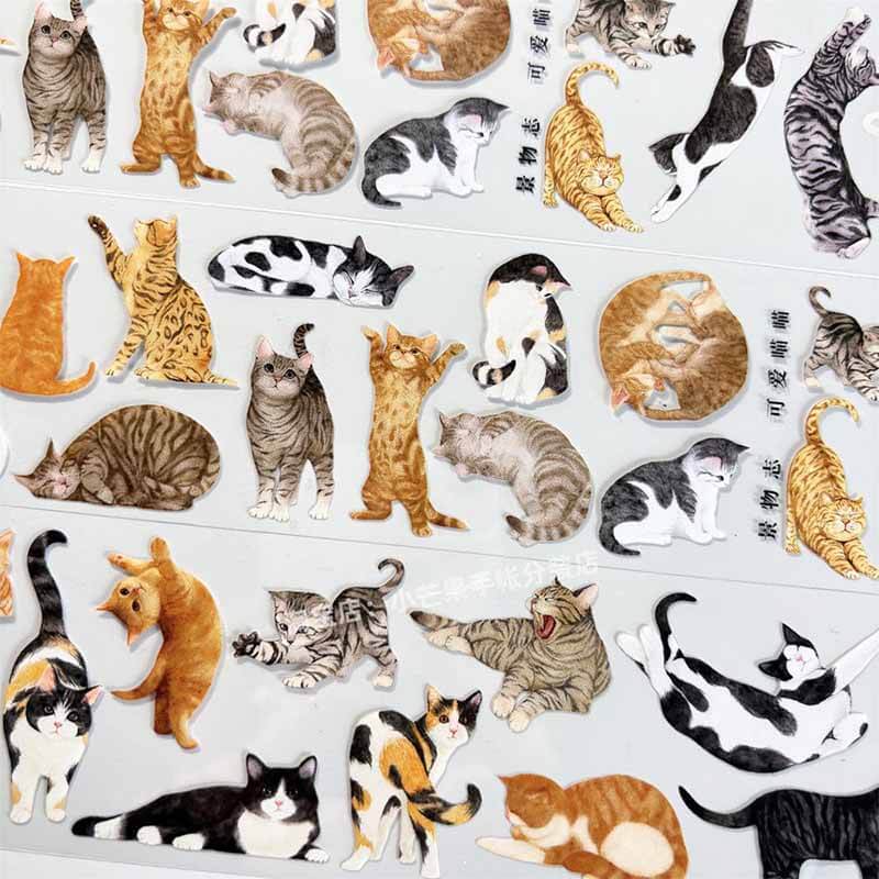 Cute Kittens PET Journal Collage Sticker