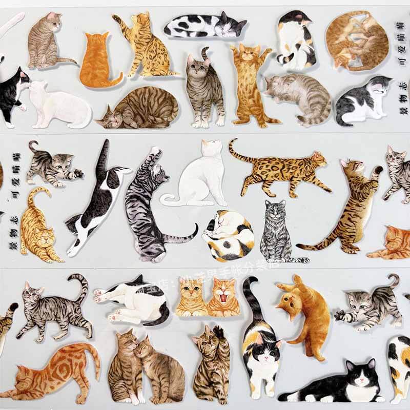 Cute Kittens PET Journal Collage Sticker