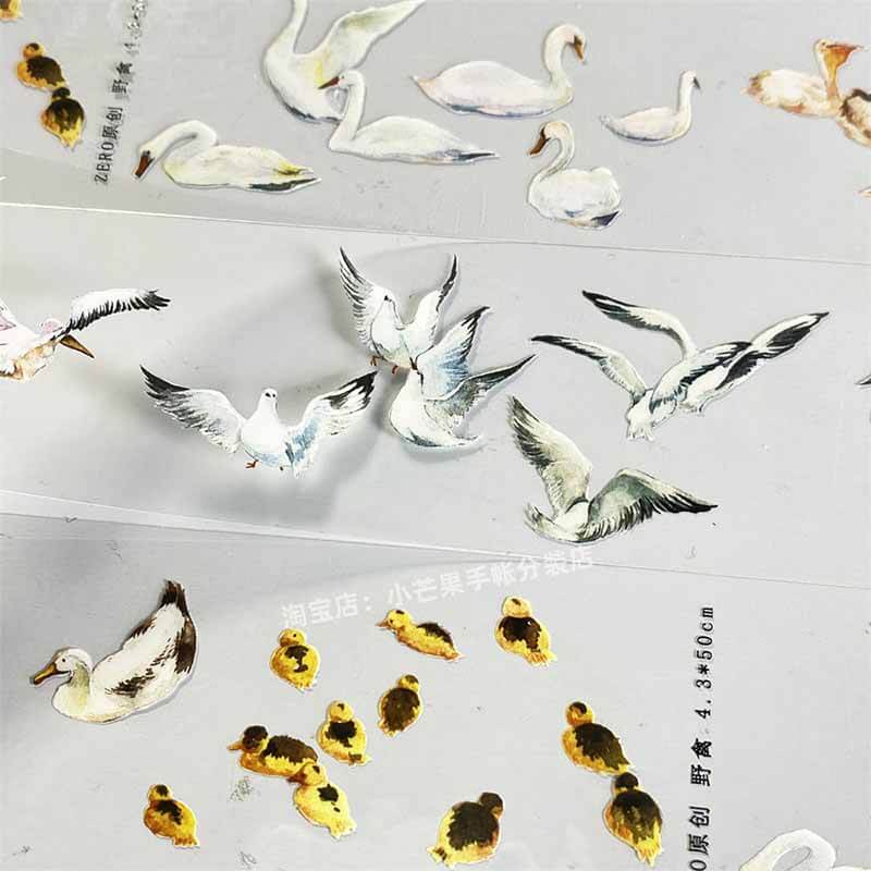 Seagulls & Pigeons PET Journal Collage Sticker