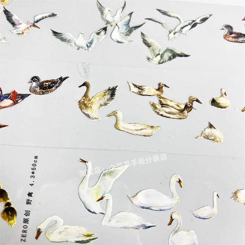 Seagulls & Pigeons PET Journal Collage Sticker