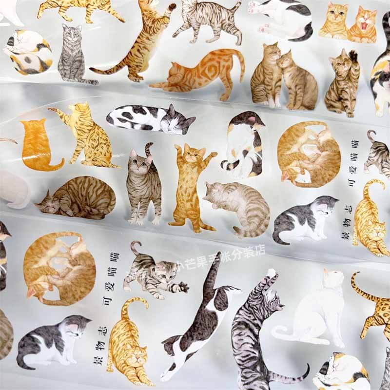 Cute Kittens PET Journal Collage Sticker