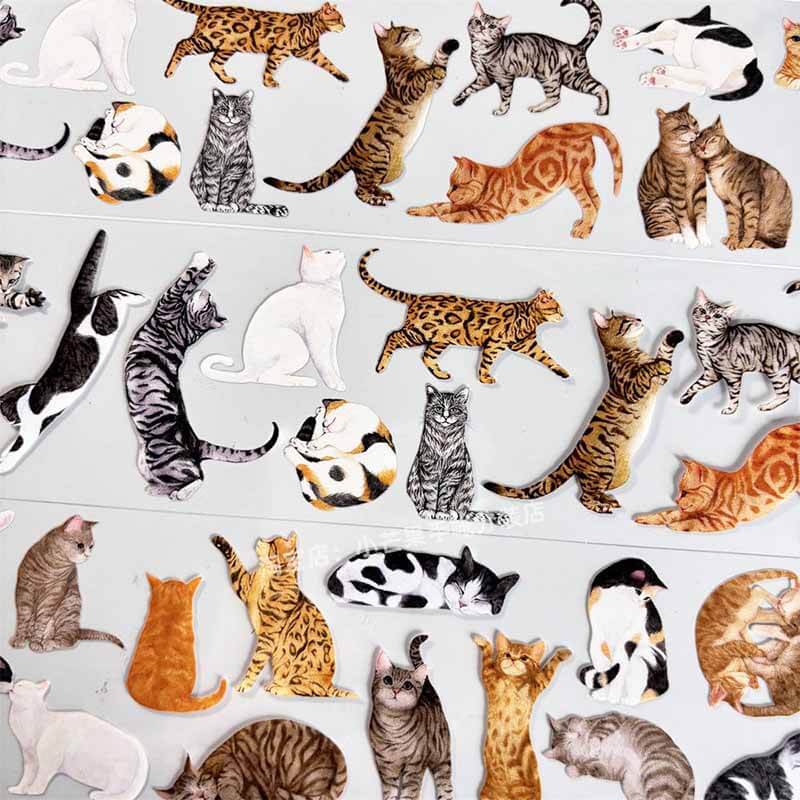 Cute Kittens PET Journal Collage Sticker