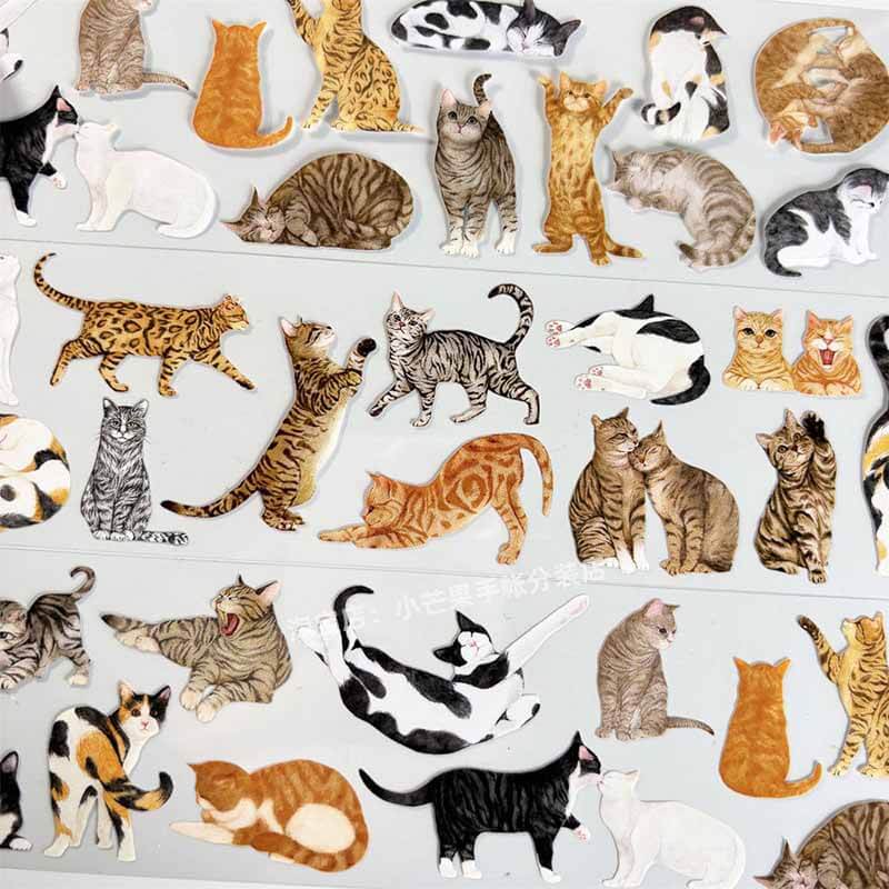Cute Kittens PET Journal Collage Sticker