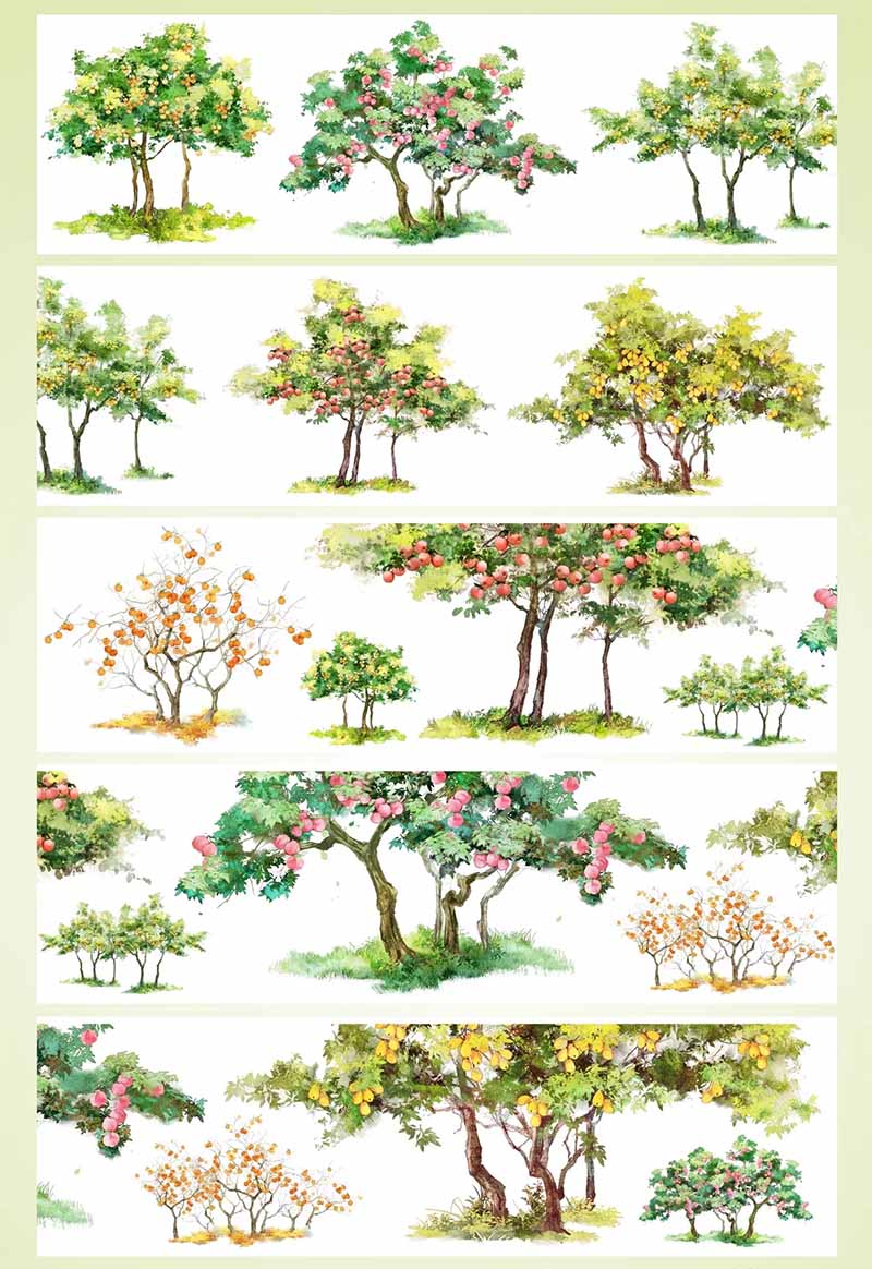 Spring Bloom Autumn Harvest PET Journaling Scene Tape