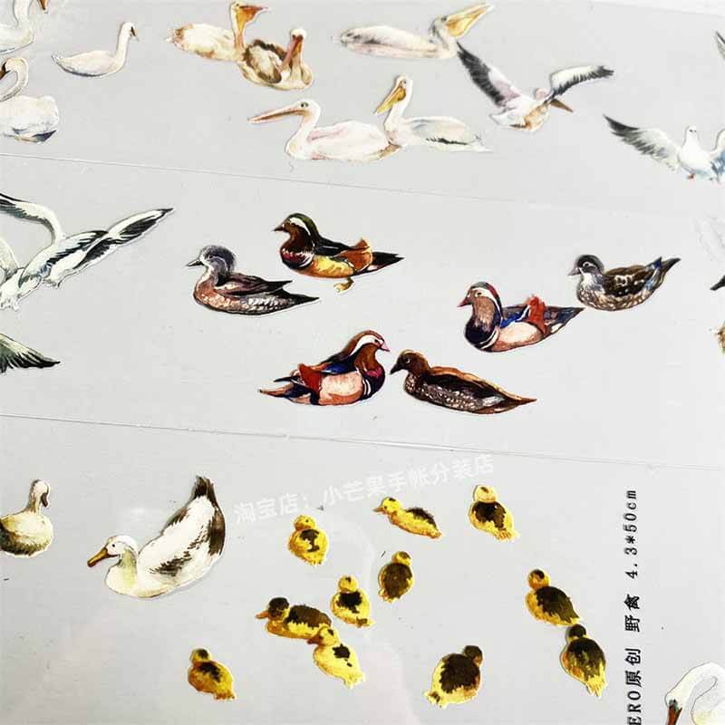Seagulls & Pigeons PET Journal Collage Sticker