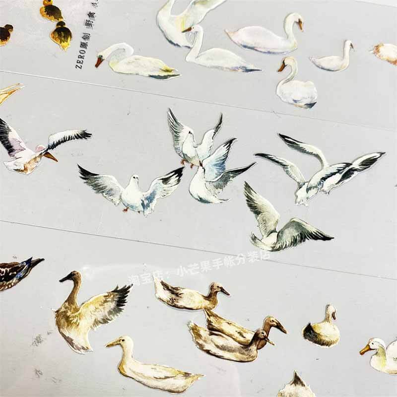 Seagulls & Pigeons PET Journal Collage Sticker